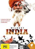 Watch Wildest India Vodly