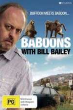 Watch Baboons with Bill Bailey Vodly