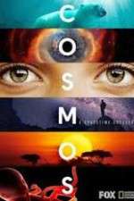 Watch Cosmos A SpaceTime Odyssey Vodly