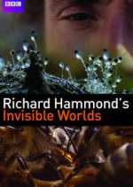 Watch Richard Hammond's Invisible Worlds Vodly