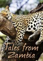 Watch Tales from Zambia Vodly