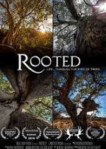 Watch Rooted Vodly
