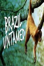 Watch Brazil Untamed Vodly