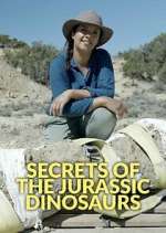 Watch Secrets of the Jurassic Dinosaurs Vodly