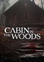 Watch Cabin in the Woods Vodly