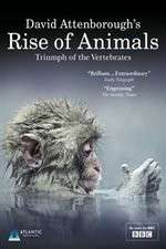 Watch David Attenborough's Rise of Animals: Triumph of the Vertebrates Vodly