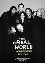 Watch The Real World Homecoming Vodly