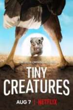 Watch Tiny Creatures Vodly