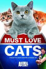 Watch Must Love Cats Vodly