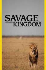 Watch Savage Kingdom Vodly