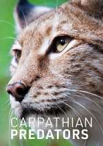 Watch Carpathian Predators Vodly