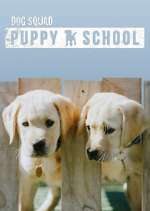 Watch Dog Squad: Puppy School Vodly