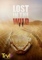 Watch Lost in the Wild Vodly
