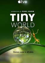 Watch Tiny World Vodly