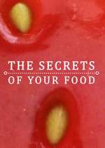 Watch The Secrets of Your Food Vodly