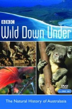 Watch Wild Down Under Vodly