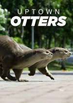 Watch Uptown Otters Vodly