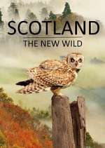 Watch Scotland - The New Wild Vodly