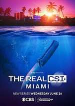 Watch The Real CSI: Miami Vodly