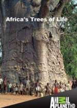 Watch Africa's Trees of Life Vodly