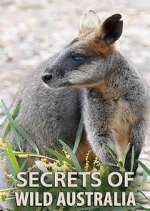 Watch Secrets of Wild Australia Vodly