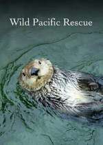 Watch Wild Pacific Rescue Vodly