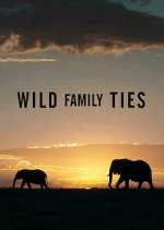 Watch Wild Family Ties Vodly