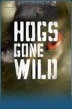 Watch Hogs Gone Wild Vodly