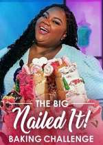 Watch The Big Nailed It! Baking Challenge Vodly