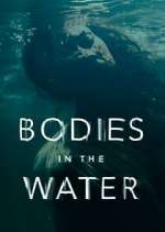 Watch Bodies in the Water Vodly