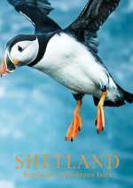 Watch Shetland: Scotland's Wondrous Isles Vodly
