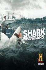 Watch Shark Wranglers Vodly