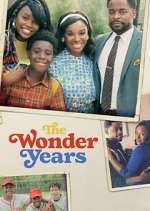 Watch The Wonder Years Vodly