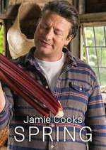 Watch Jamie Cooks Spring Vodly
