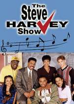 Watch The Steve Harvey Show Vodly