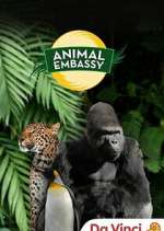 Watch Animal Embassy Vodly