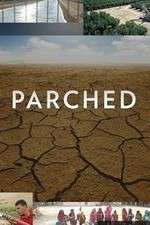 Watch Parched Vodly