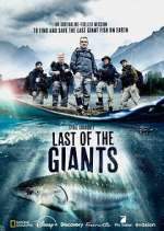 Watch Last of the Giants: Wild Fish Vodly