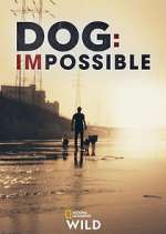Watch Dog: Impossible Vodly