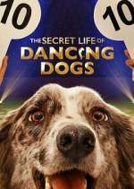 Watch The Secret Life of Dancing Dogs Vodly