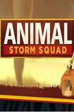 Watch Animal Storm Squad Vodly