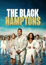 Watch Carl Weber's The Black Hamptons Vodly