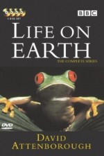 Watch Life on Earth Vodly