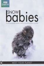 Watch Snow Babies Vodly