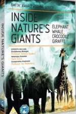 Watch Inside Nature's Giants Vodly