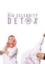 Watch The Big Celebrity Detox Vodly