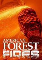 Watch American Forest Fires: The Untold Story Vodly