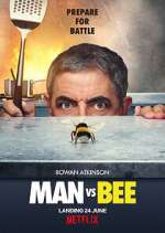Watch Man Vs Bee Vodly
