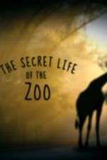 Watch The Secret Life of the Zoo Vodly