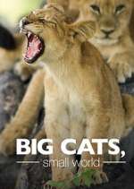 Watch Big Cats, Small World Vodly